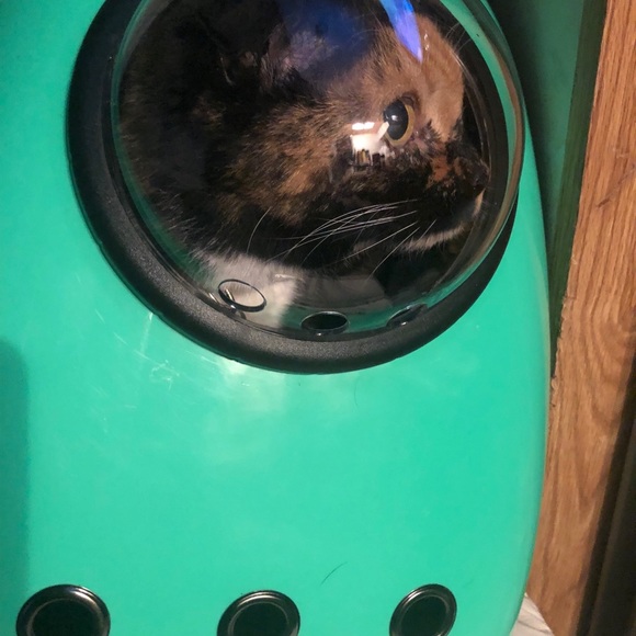 Meet your Posher, Natalie - Picture 8 of 13